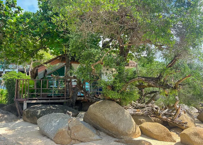 Siam Cookies Cottage
