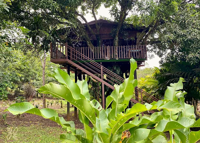 Hotel Heliconias Nature Inn & Hot Springs La Fortuna