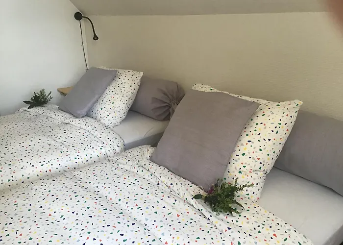 B&B De Kastanjeboom Jabbeke 