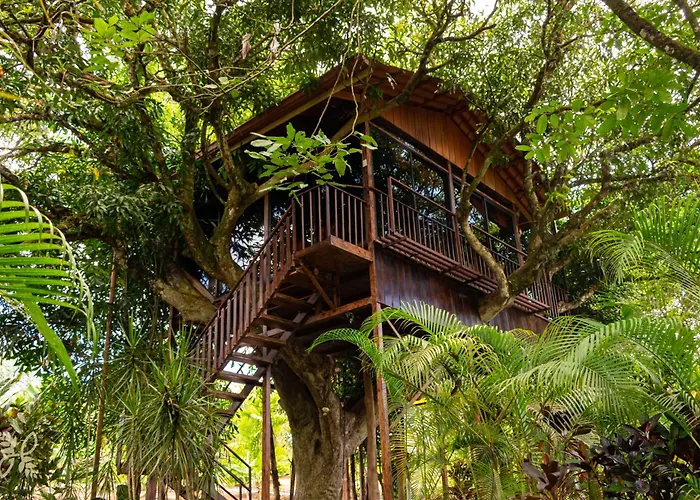 Hotel Heliconias Nature Inn & Hot Springs La Fortuna