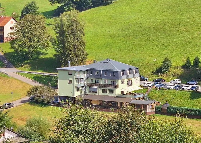 Hotel Grüner Baum mit Restaurant&Wellness Oberzent