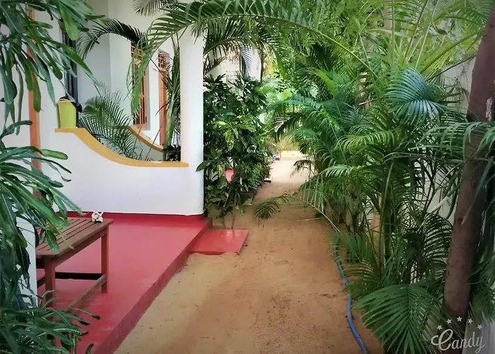 Surf & Sand Hotel Arugambay Arugam Bay