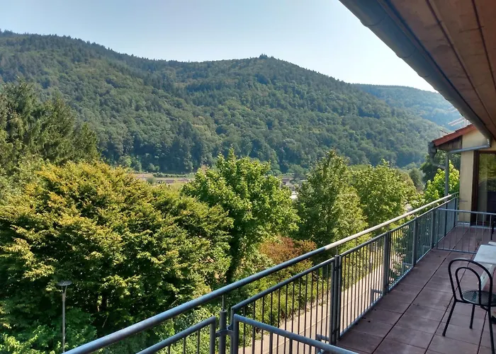 Hotel zum Neckartal Heidelberg