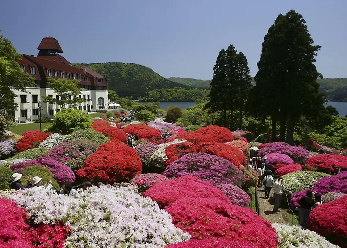 Odakyu Hotel De Yama Hakone