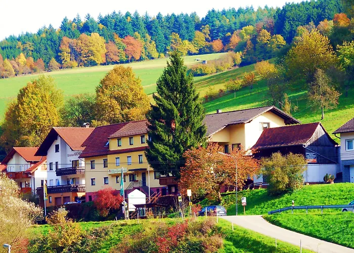 Hotel Gasthof Zur Krone Odenwald-Sterne-Hotel